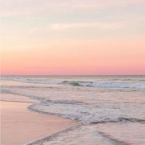 Disney Doorables Bundle